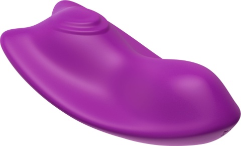 Masażer łechtaczki, wkładany do bielizny, Panty Vibrator, pilot bezprzewodowy