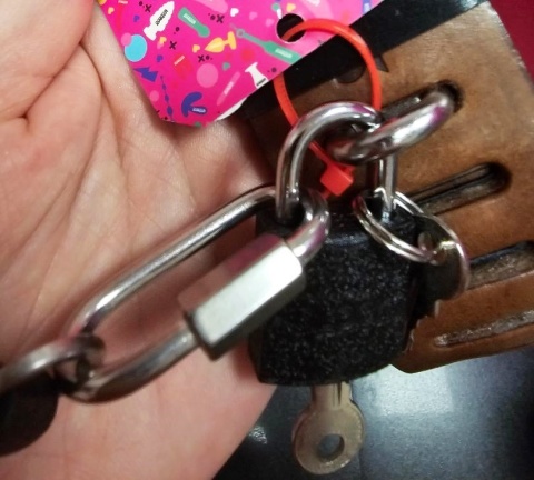 Obroża premium, brązowa, zapinana na kłódkę, ze smyczą z łańcucha i skóry, skóra naturalna, Whips