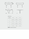Komplet bielizny, 2 części: pas do pończoch i stringi, Catia, Obsessive