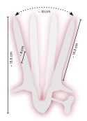 Wziernik waginalny, speculum, stal nierdzewna, Fetish