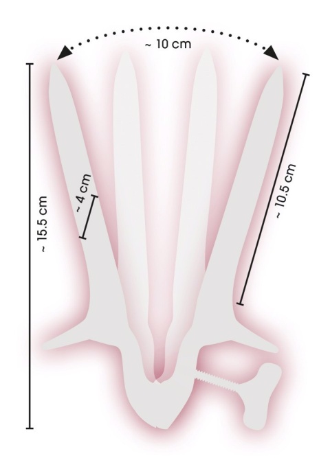 Wziernik waginalny, speculum, stal nierdzewna, Fetish
